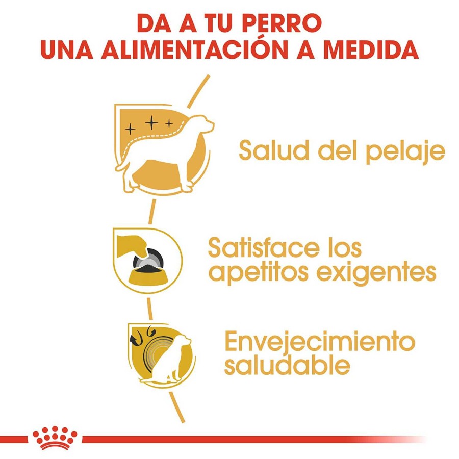 Perros Royal Canin | Royal Canin Yorkshire Terrier Adult Pienso Para Perro Adulto De Raza