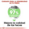 Perros Royal Canin | Royal Canin Maxi Digestive Pienso Para Perro Adulto Grande Con Sensibilidad Digestiva