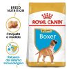 Perros Royal Canin | Royal Canin Boxer Puppy Pienso Para Cachorro De Raza