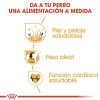 Perros Royal Canin | Royal Canin Cocker Adult Pienso Para Perro Adulto De Raza