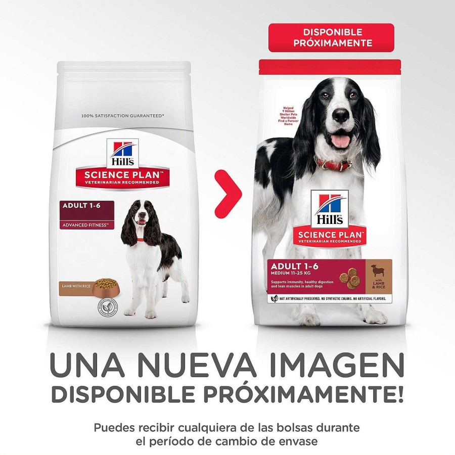 Perros Hill´s | Hill'S Science Plan Adult Medium Alimento Seco Perro Sabor Cordero Y Arroz