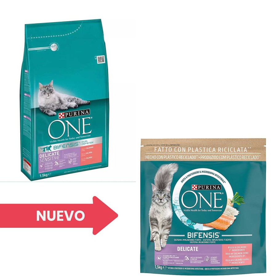 Gatos Purina One | Purina One Gatos Digesti N Sensible Rico En Salm N Y Arroz