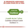 Gatos Royal Canin | Royal Canin Outdoor 30 Pienso Para Gato Adulto De Exterior