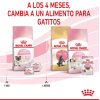 Gatos Royal Canin | Royal Canin Mother & Babycat Pienso Para Gatitos Y Gatas Lactantes