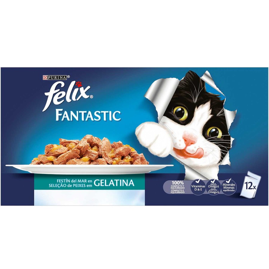 Gatos Felix | Purina Felix Fantastic Fest N Del Mar En Gelatina Pack Surtido Sobres