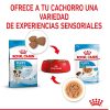 Perros Royal Canin | Royal Canin Mini Puppy Comida H Meda Para Cachorro De Razas Tama O Peque O