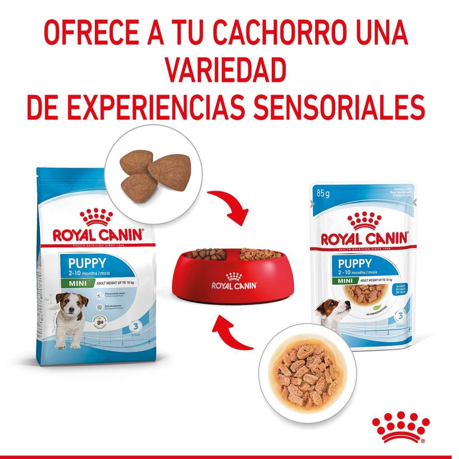 Perros Royal Canin | Royal Canin Mini Puppy Comida H Meda Para Cachorro De Razas Tama O Peque O