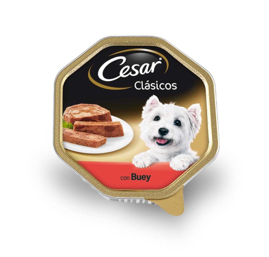 Perros Cesar | C Sar Cl Sicos Con Buey