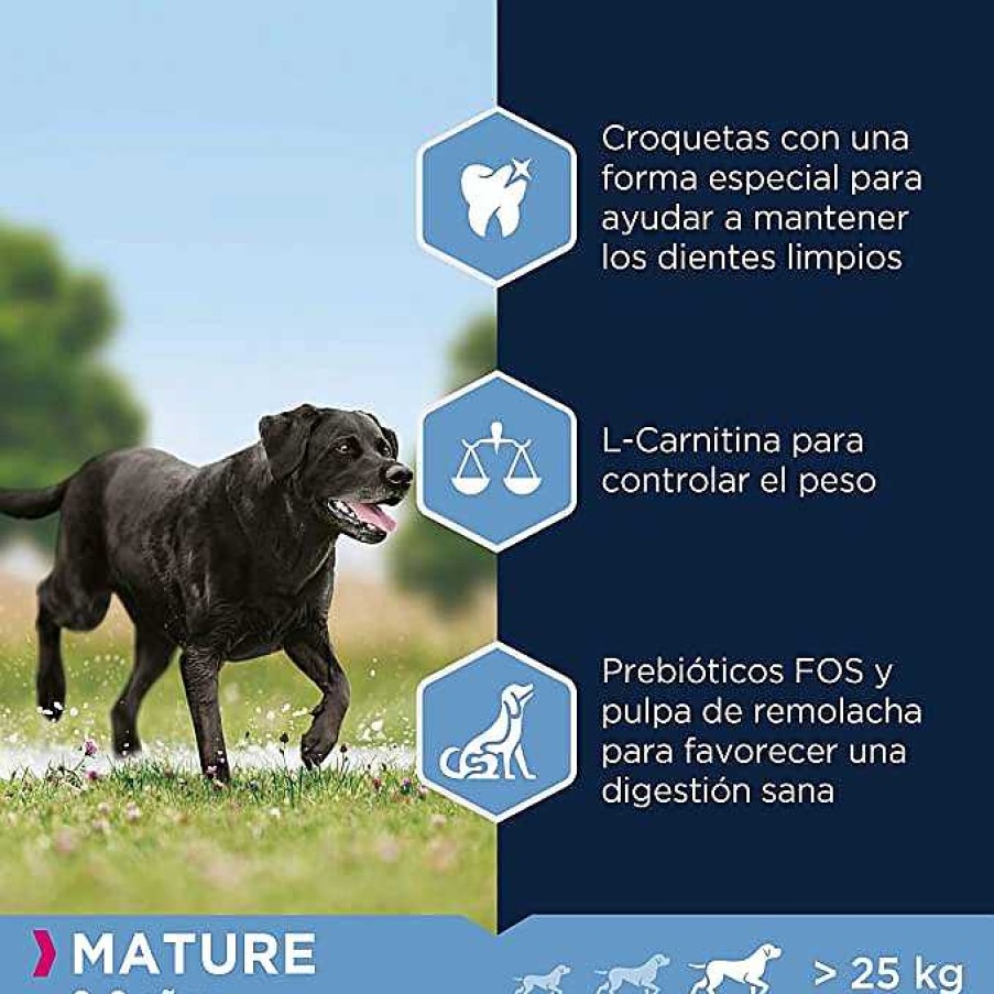 Perros Eukanuba | Eukanuba Alimento Seco Para Perros Mature De Raza Grande, Rico En Pollo Fresco