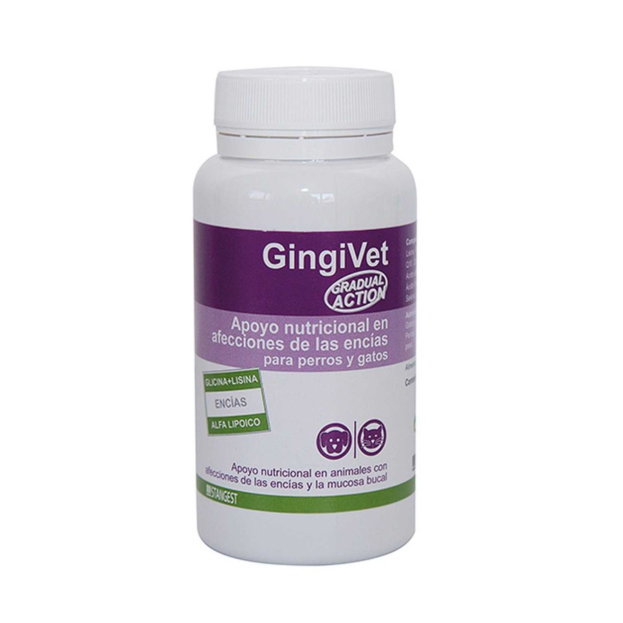 Perros Stangest | Gingivet Salud Bucodental De Perro Y Gato