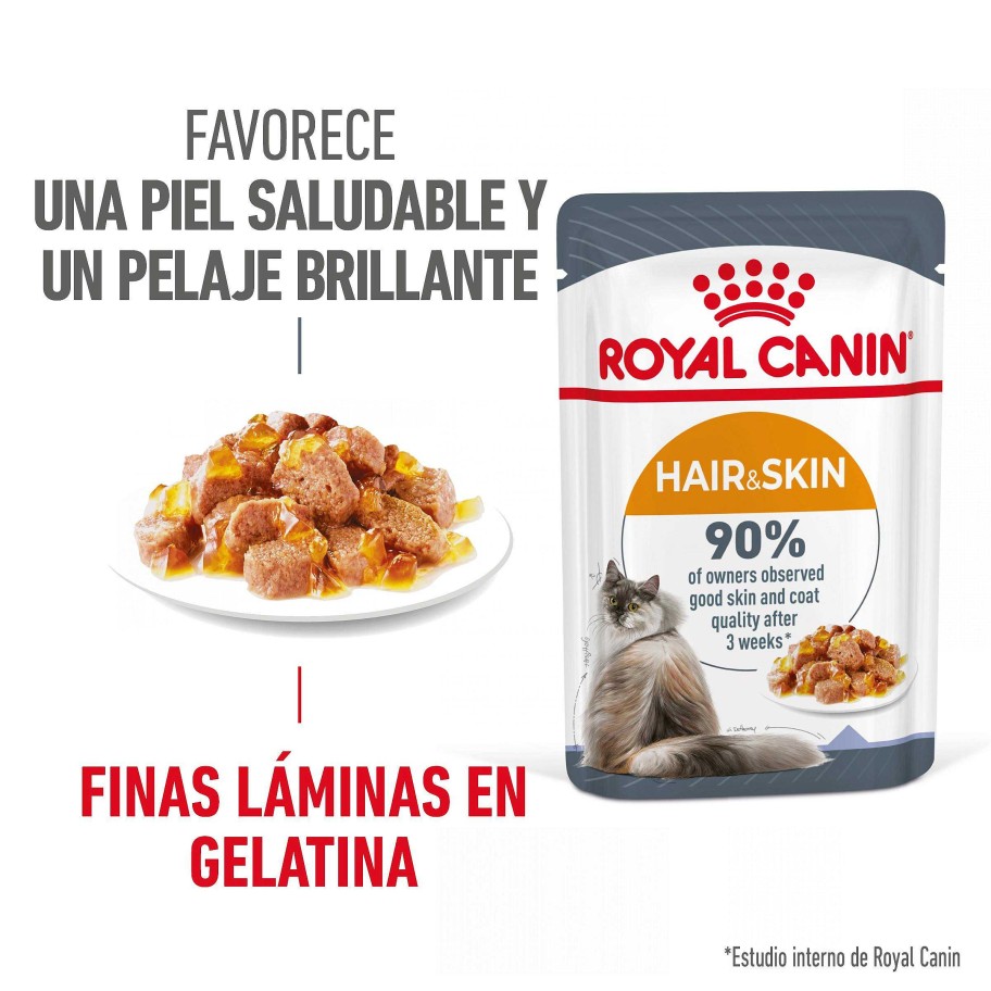 Gatos Royal Canin | Royal Canin Hair&Skin Care Comida H Meda En Gelatina Gato Adulto De Piel Sensible