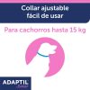 Perros Ceva | Adaptil Junior Collar