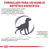 Perros Royal Canin | Royal Canin Neutered Adult Medium Dogs Alimento Seco Para Perros Esterilizados De Razas Medianas