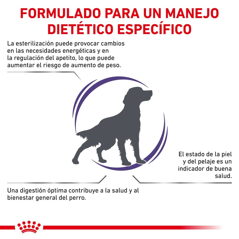 Perros Royal Canin | Royal Canin Neutered Adult Medium Dogs Alimento Seco Para Perros Esterilizados De Razas Medianas