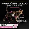 Gatos Purina Pro Plan | Purina Pro Plan Adulto Delicate Digestion Con Pavo Y Pescado Del Oc Ano En Salsa