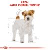 Perros Royal Canin | Royal Canin Jack Russell Terrier Adult Pienso Para Perro Adulto De Raza