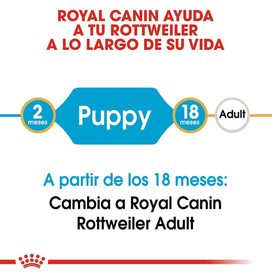 Perros Royal Canin | Royal Canin Rottweiler Puppy Pienso Para Cachorro De Raza