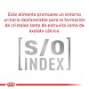 Perros Royal Canin | Royal Canin Senior Consult Mature Small Dog Alimento Seco Para Perros De Razas Peque As