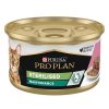 Gatos Purina Pro Plan | Purina Pro Plan Gato Adulto Lata Sterilised Maintenance Terrina Con At N Y Salm N