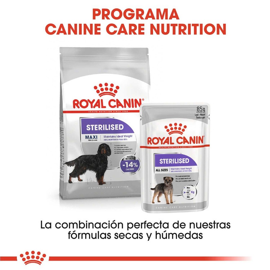 Perros Royal Canin | Royal Canin Maxi Sterilised Pienso Para Perro Adulto Esterilizado De Tama O Grande