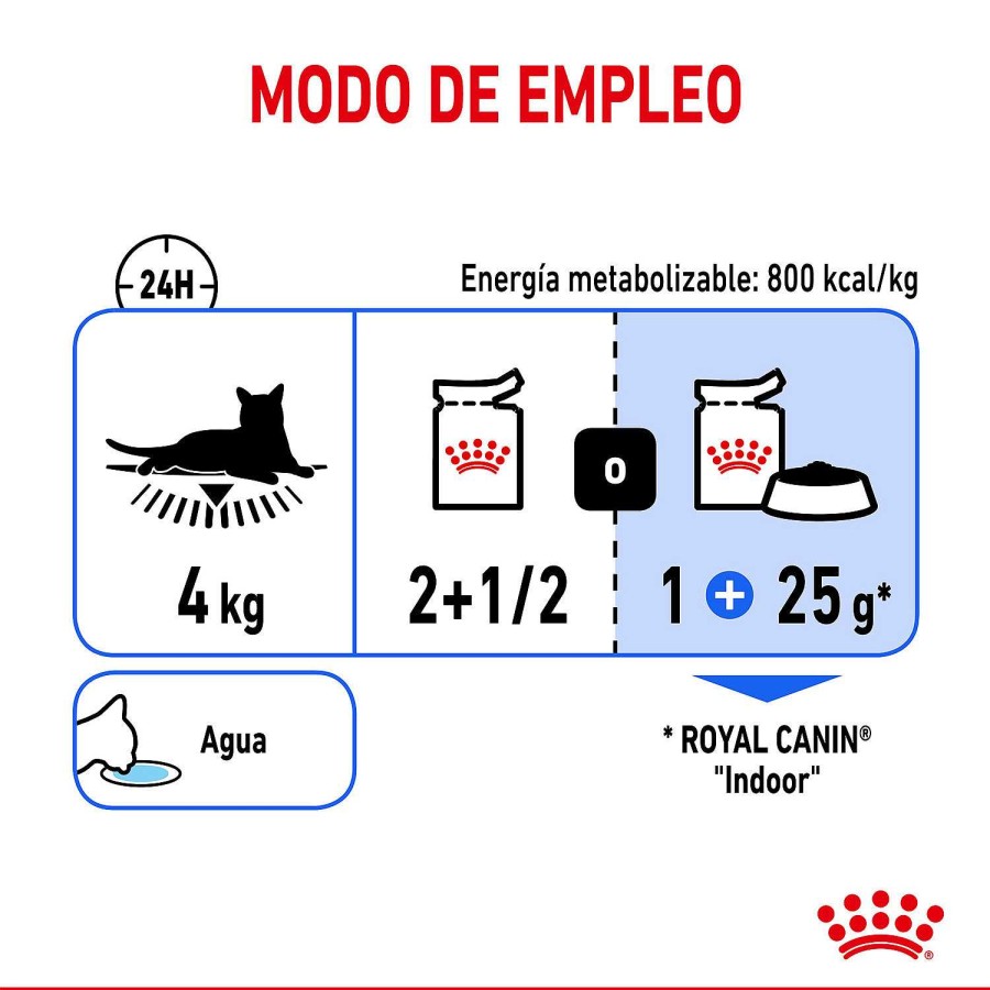 Gatos Royal Canin | Royal Canin Indoor Comida H Meda En Salsa Para Gato Adulto De Interior