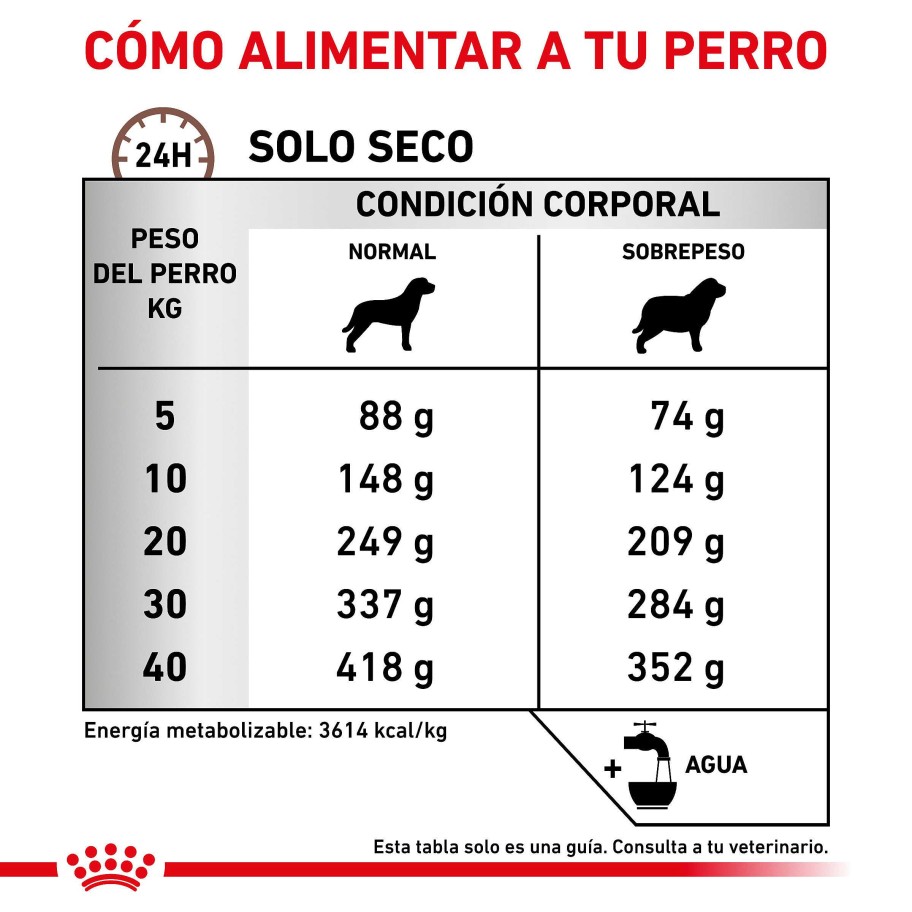 Perros Royal Canin | Royal Canin Gastro Intestinal Moderate Calorie Alimento Seco Para Perros