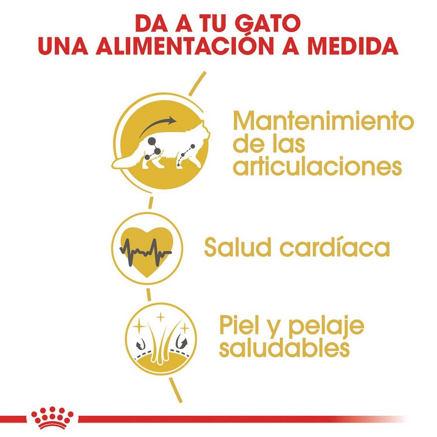 Gatos Royal Canin | Royal Canin Maine Coon Pienso Para Gato Adulto De Raza