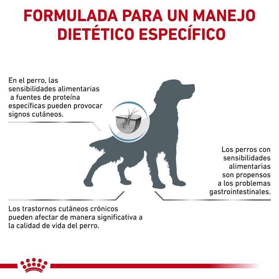 Perros Royal Canin | Royal Canin Anallergenic Alimento Seco Para Perros