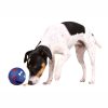 Perros Trixie | Pelota Snacks Dog Activity