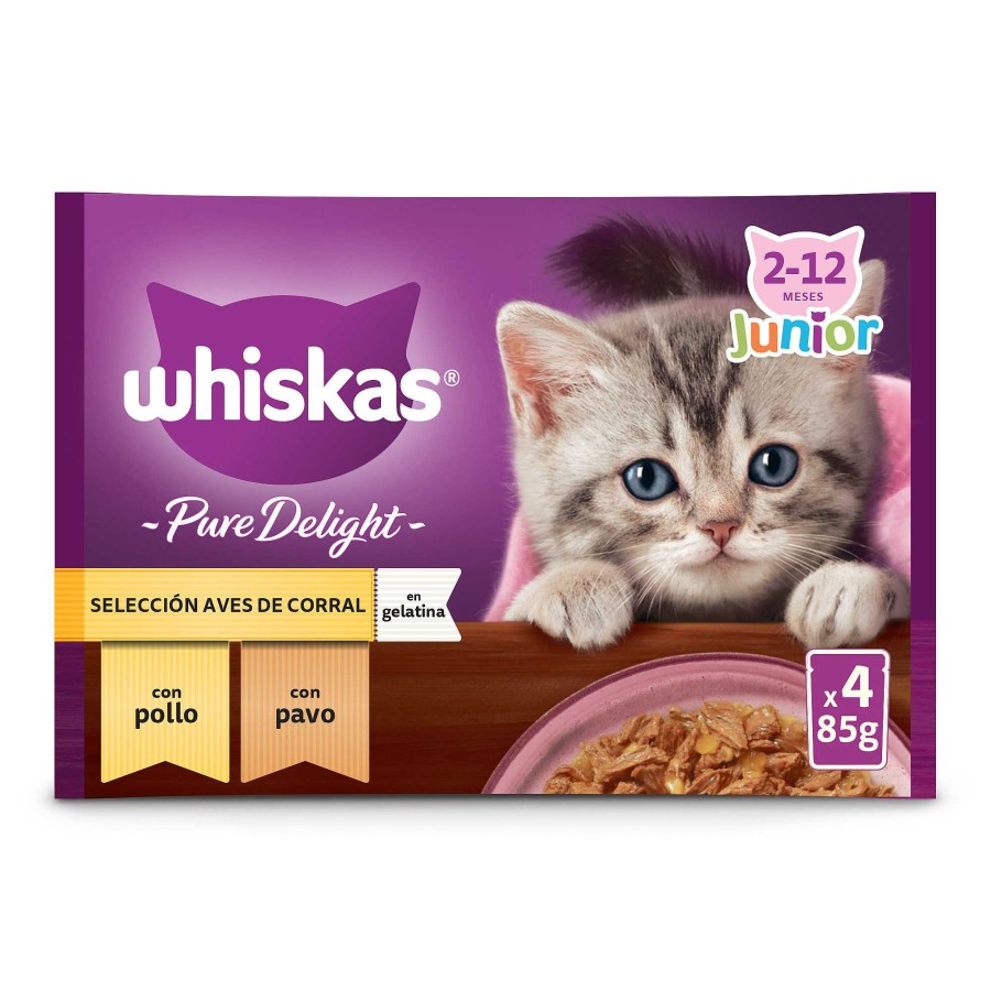 Gatos Whiskas | Whiskas Comida H Meda Para Gatos Junior Selecci N Aves En Gelatina