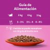 Gatos Whiskas | Whiskas Comida H Meda Para Gatos Adultos Selecci N Cl Sicos En Salsa Multipack