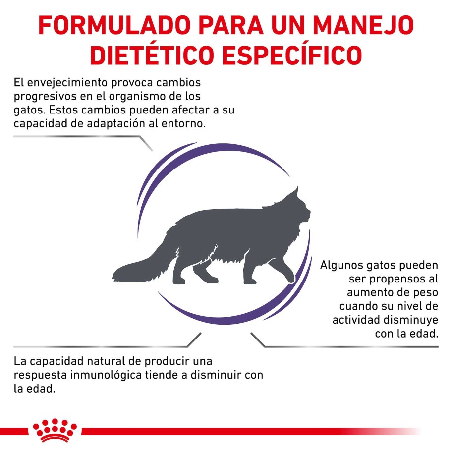 Gatos Royal Canin | Royal Canin Mature Consult Balance Alimento Seco Para Gatos