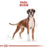 Perros Royal Canin | Royal Canin Boxer Adult Pienso Para Perro Adulto De Raza