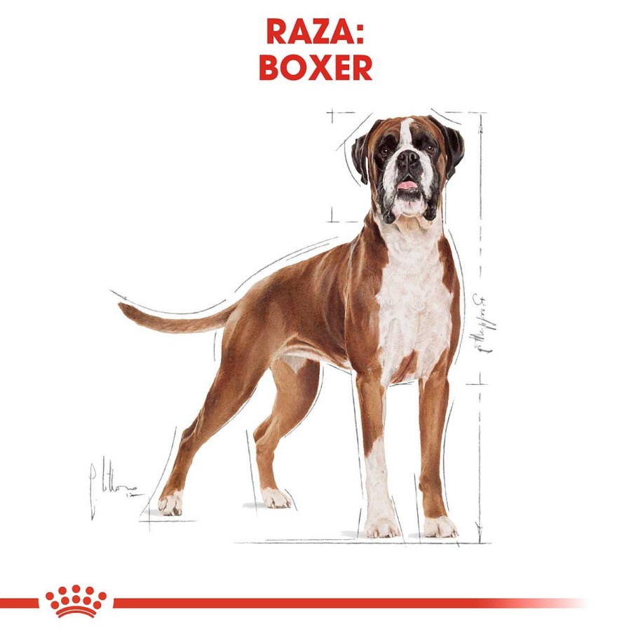 Perros Royal Canin | Royal Canin Boxer Adult Pienso Para Perro Adulto De Raza