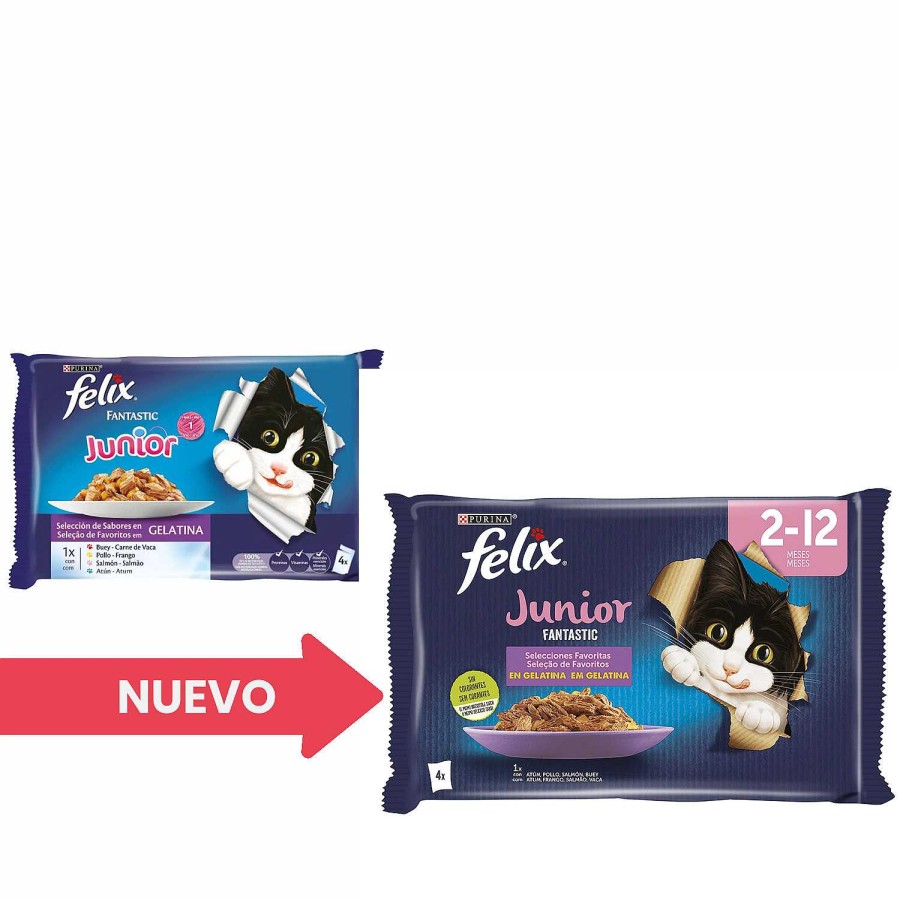 Gatos Felix | Purina Felix Fantastic Junior Grill En Gelatina