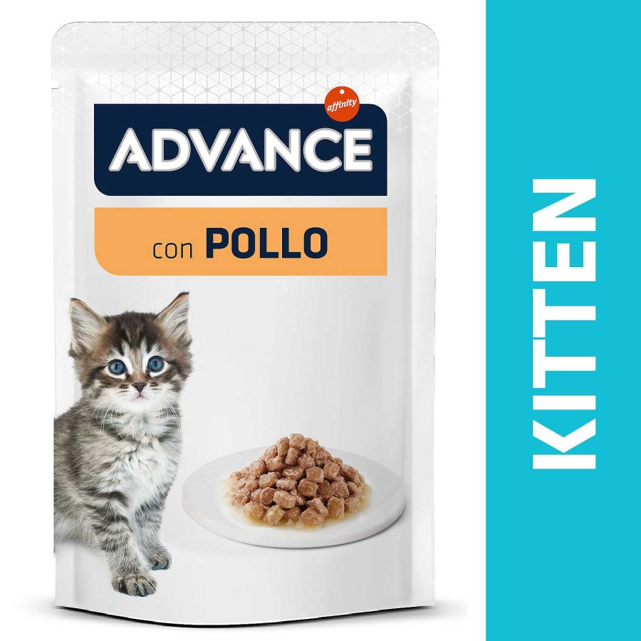 Gatos Advance | Advance Kitten Chicken Wet