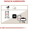 Gatos Royal Canin | Royal Canin Ageing 12+ Comida H Meda En Salsa Para Gato De Edad Avanzada