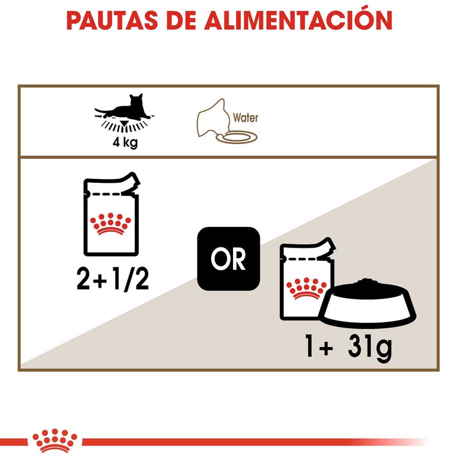 Gatos Royal Canin | Royal Canin Ageing 12+ Comida H Meda En Salsa Para Gato De Edad Avanzada