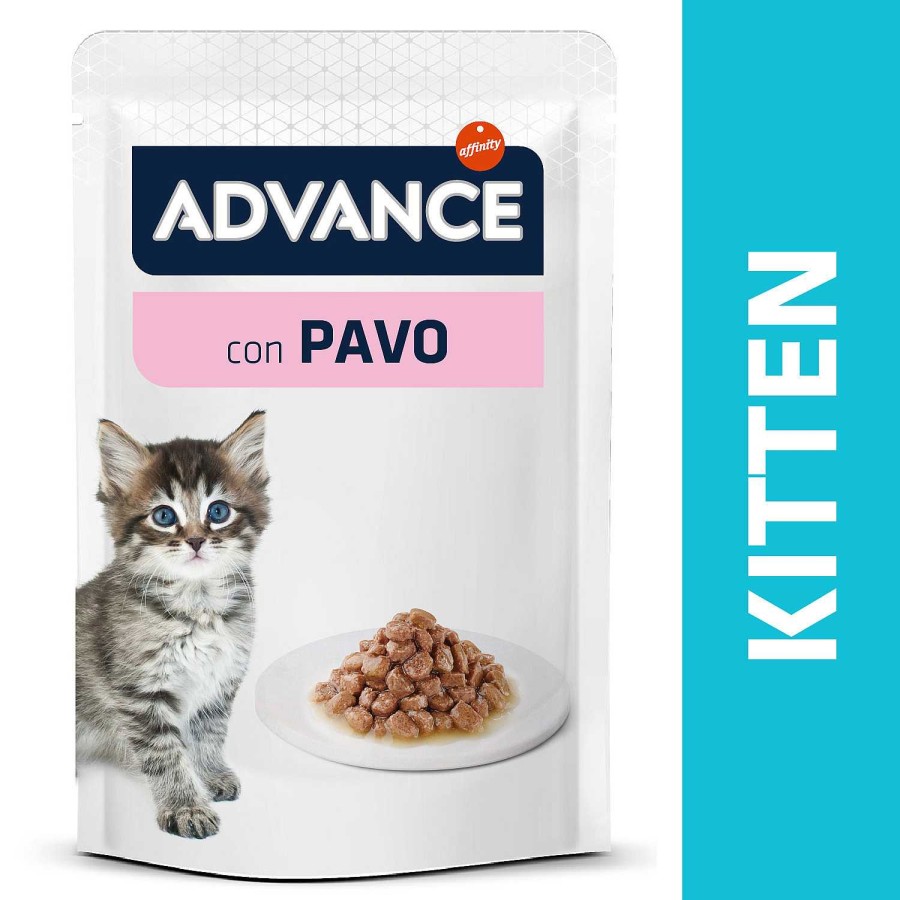 Gatos Advance | Advance Kitten Turkey Wet