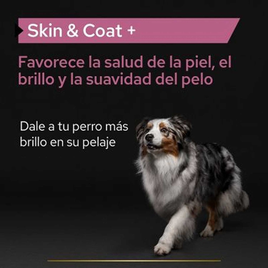 Perros Purina Pro Plan | Purina Pro Plan Skin & Coat Suplemento Nutricional Para Perro Con Problemas De Piel