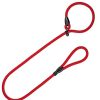 Perros Arppe | Correa-Collar Educativo - 150 X 1,4 Cm