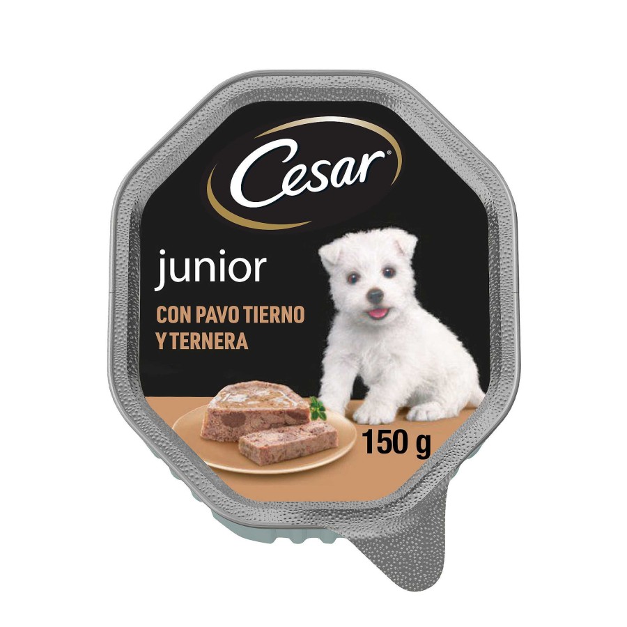 Perros Cesar | Cesar Comida H Meda Para Perros Cachorros Sabor Pavo Y Ternera Tarrina