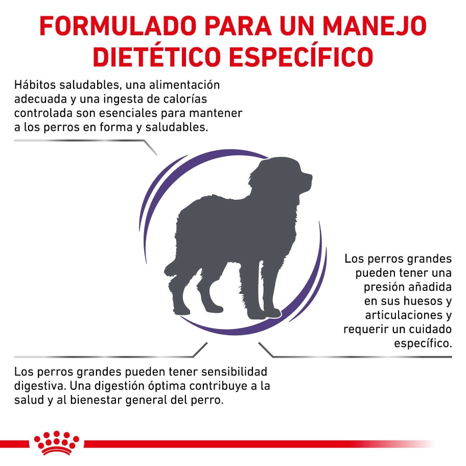 Perros Royal Canin | Royal Canin Adult Large Dog Alimento Seco Para Perros De Razas Grandes