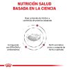 Perros Royal Canin | Royal Canin Renal Alimento Seco Para Perros