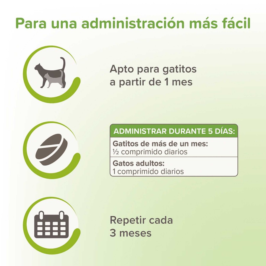 Gatos Beaphar | Beaphar Pastillas Antiparasitarias Para Gatos