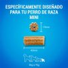 Perros Purina | Purina Dentalife Mini