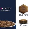 Perros Eukanuba | Eukanuba Alimento Seco Para Perros Adultos De Razas Grandes, Rico En Salm N Y Cebada