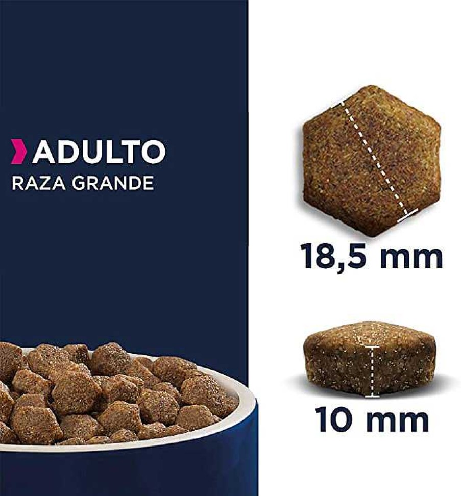 Perros Eukanuba | Eukanuba Alimento Seco Para Perros Adultos De Razas Grandes, Rico En Salm N Y Cebada