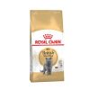 Gatos Royal Canin | Royal Canin British Shorthair Pienso Para Gato Adulto De Raza