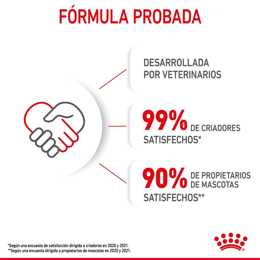 Gatos Royal Canin | Royal Canin Kitten Comida H Meda En Salsa Para Gatitos